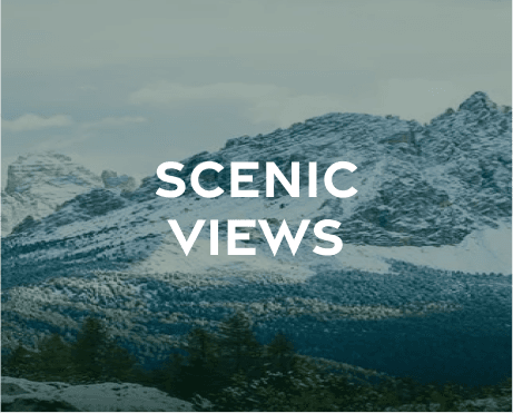 Serene Heights Nathia Gali resort surrounded by pine forests